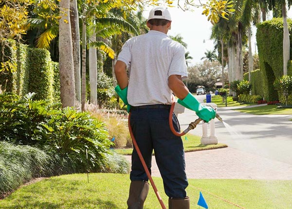 About Logan OH Pest Control
